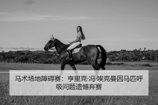 马术场地障碍赛：亨里克·冯·埃克曼因马匹呼吸问题遗憾弃赛 | yaxin